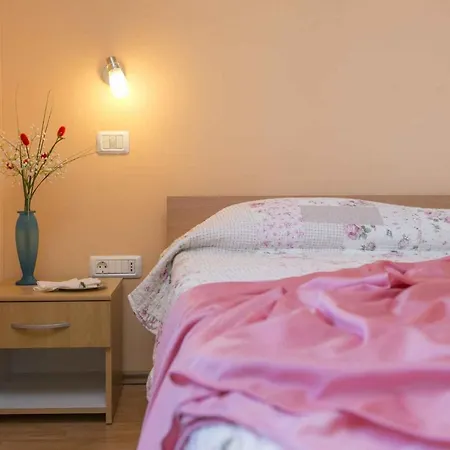 One-bedroom 1 Apartman Nedescina